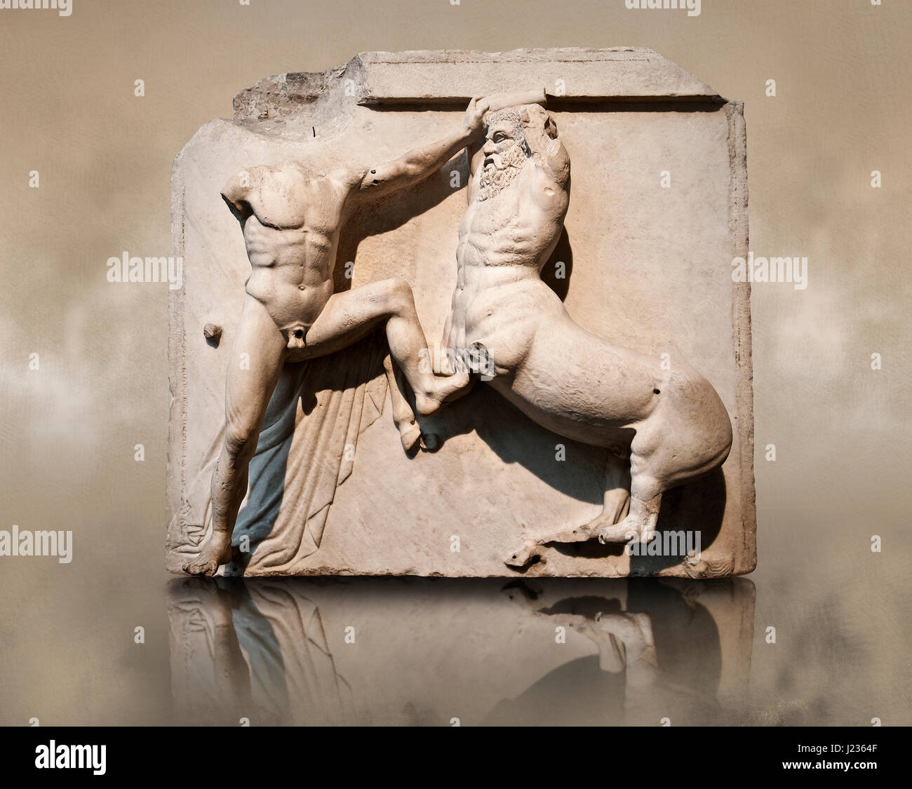Sculpture de Lapiths Centaures et combattre du Metope du Parthénon sur l'acropole d'Athènes. Aussi connu sous le nom de marbres d'Elgin. La Muse Banque D'Images