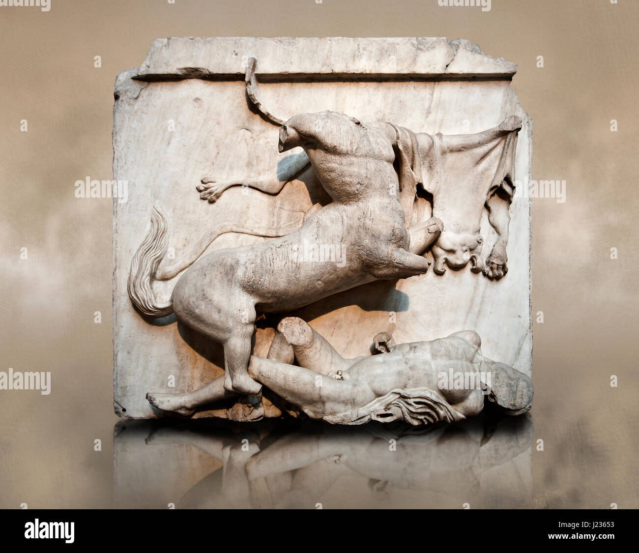 Sculpture de Lapiths Centaures et combattre du Metope du Parthénon sur l'acropole d'Athènes no XXVIII. Aussi connu sous le nom de marbres d'Elgin. Br Banque D'Images