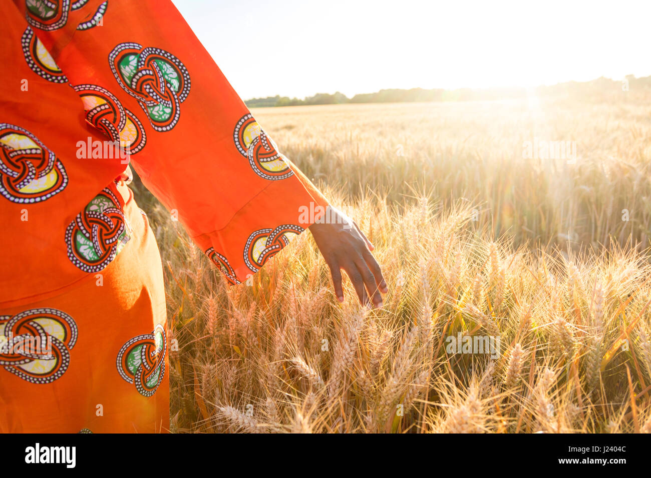 Femme africaine en vêtements traditionnels à marcher avec sa main le champ d'orge ou les cultures de blé au coucher et au lever du soleil Banque D'Images