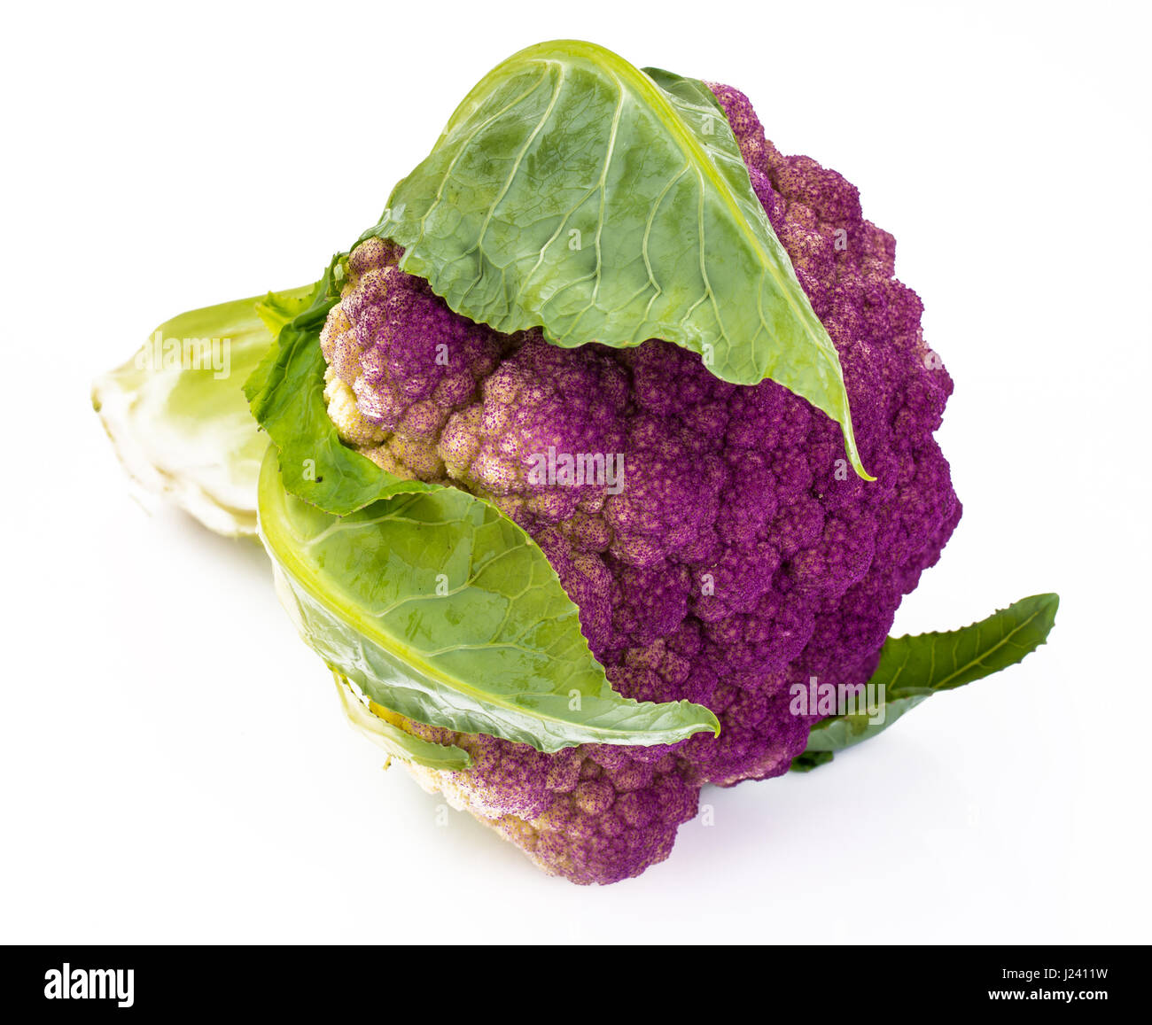 Le chou-fleur de couleur violette. Studio Photo Banque D'Images