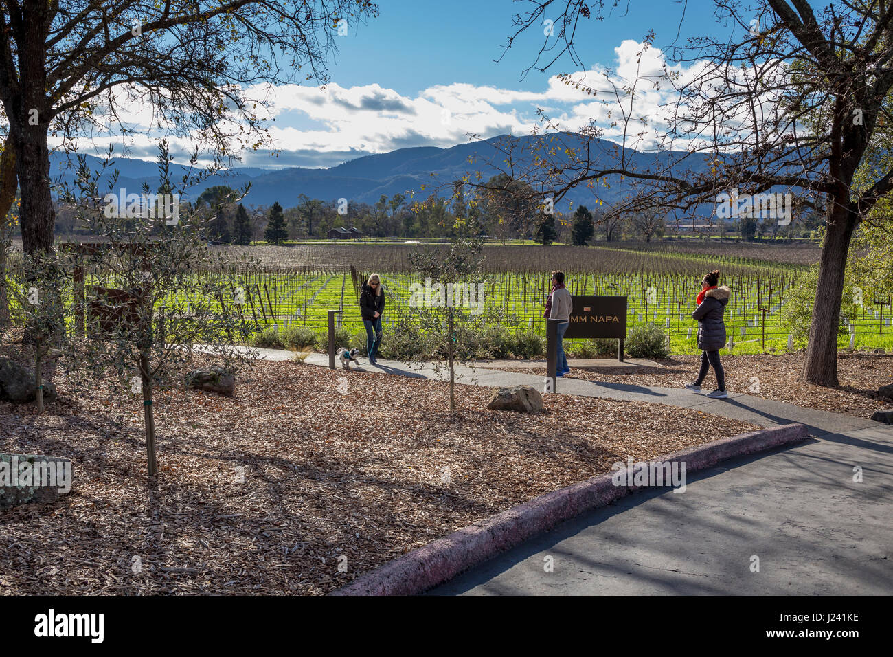 Touristes, visiteurs, visites, Mumm Napa, Silverado Trail, Rutherford, Napa Valley, Comté de Napa, California, United States Banque D'Images