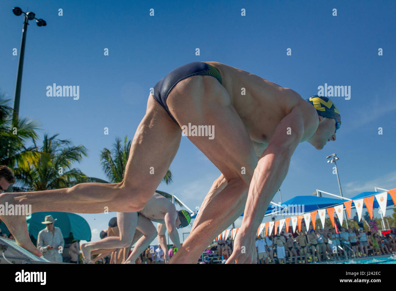 Les nageurs sur la ligne de départ à l'Orange Bowl 2017 Classic Swim meet. Banque D'Images