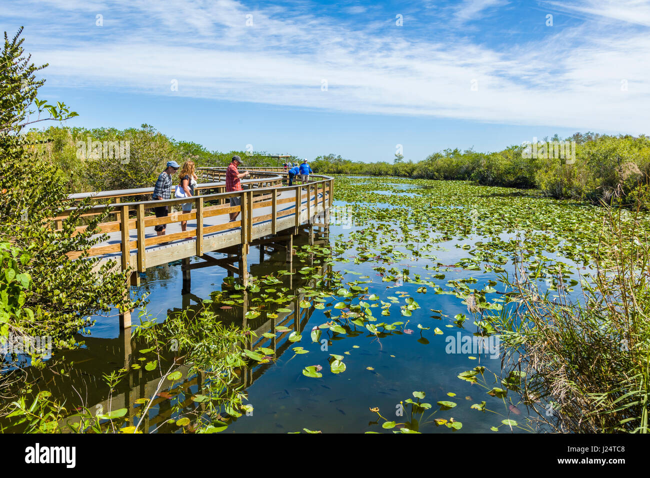 L'anhinga Trail populaire au Royal Palms Visitor Center dans le marais sawgrass bien que le parc national des Everglades en Floride Banque D'Images