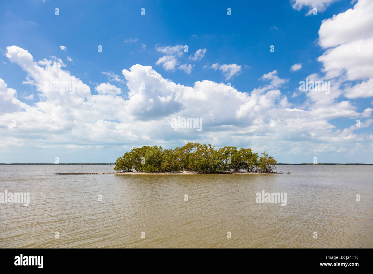 Petite île dans la région des Mille-Îles Parc national des Everglades en Floride Banque D'Images