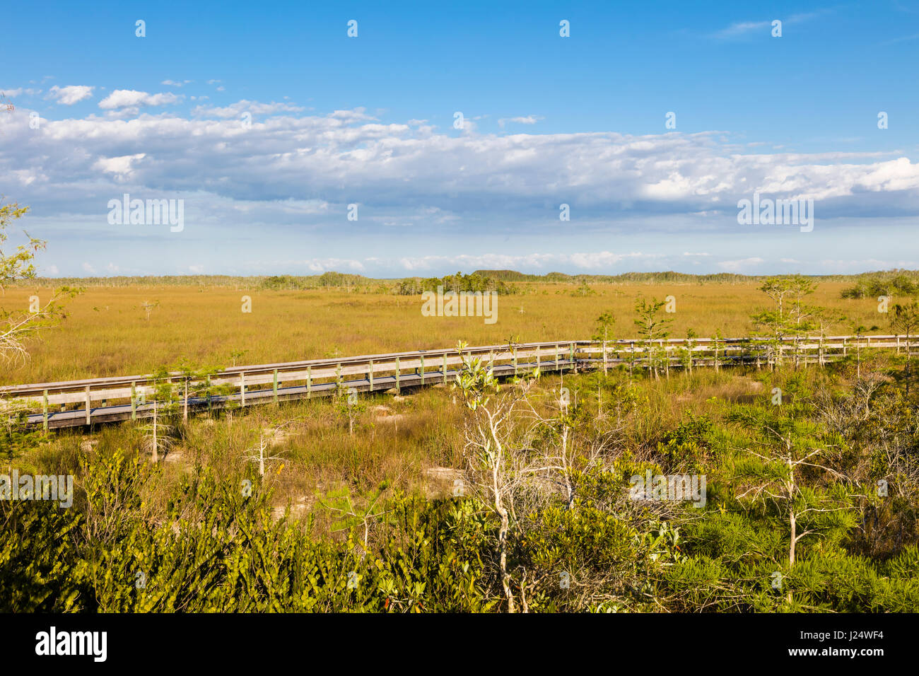 Bien que la promenade au parc Pa-hay-okee oublier dans le parc national des Everglades en Floride Banque D'Images