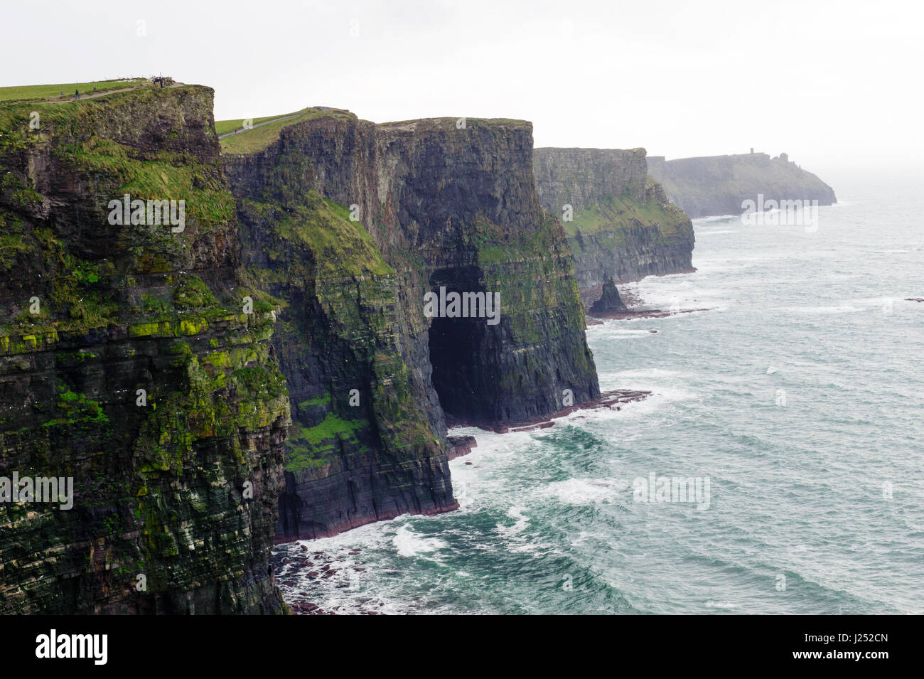 Les falaises de Moher, comté de Clare, Irlande Banque D'Images