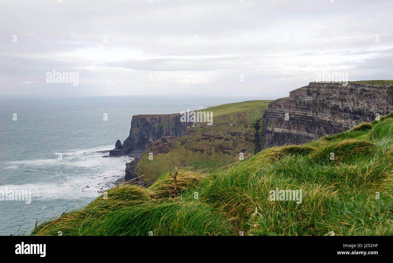 Les falaises de Moher, comté de Clare, Irlande Banque D'Images