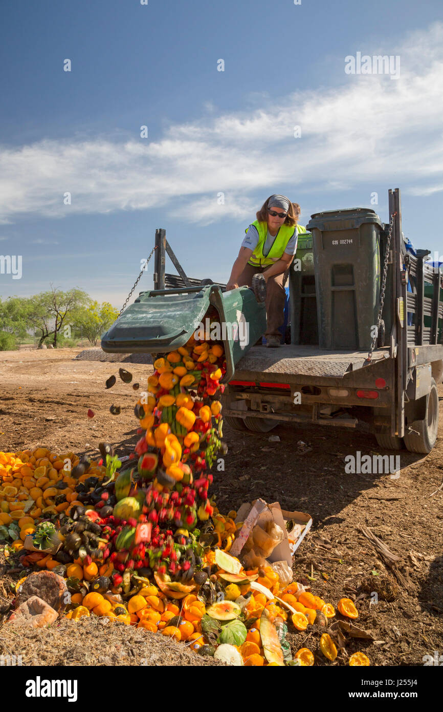 Tucson, Arizona - Le Compost les chats, une organisation étudiante de l'Université de l'Arizona, les composts de déchets alimentaires de la ville de Tucson, la détournant de landf Banque D'Images