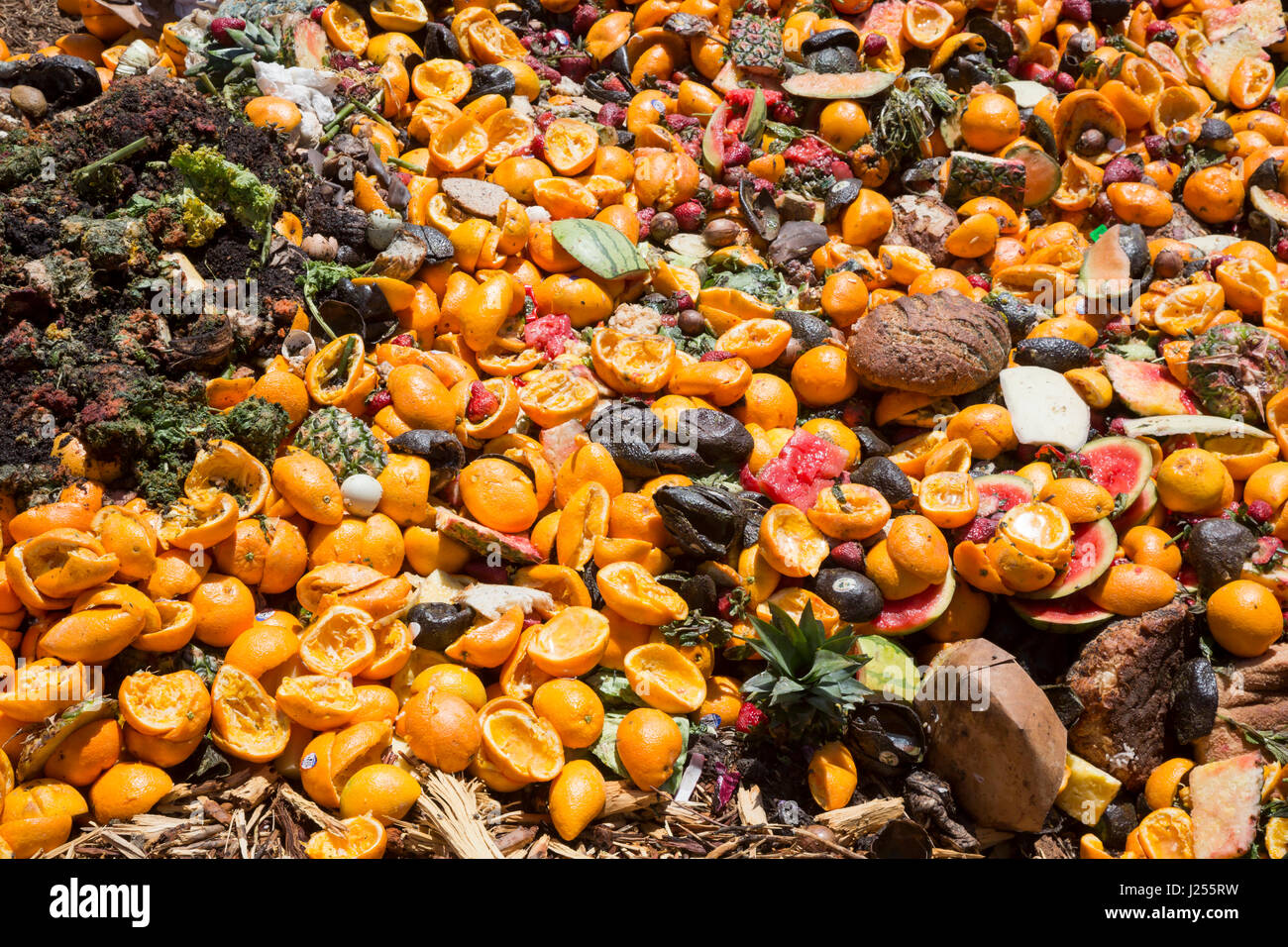 Tucson, Arizona - Le Compost les chats, une organisation étudiante de l'Université de l'Arizona, les composts de déchets alimentaires de la ville de Tucson, la détournant de landf Banque D'Images