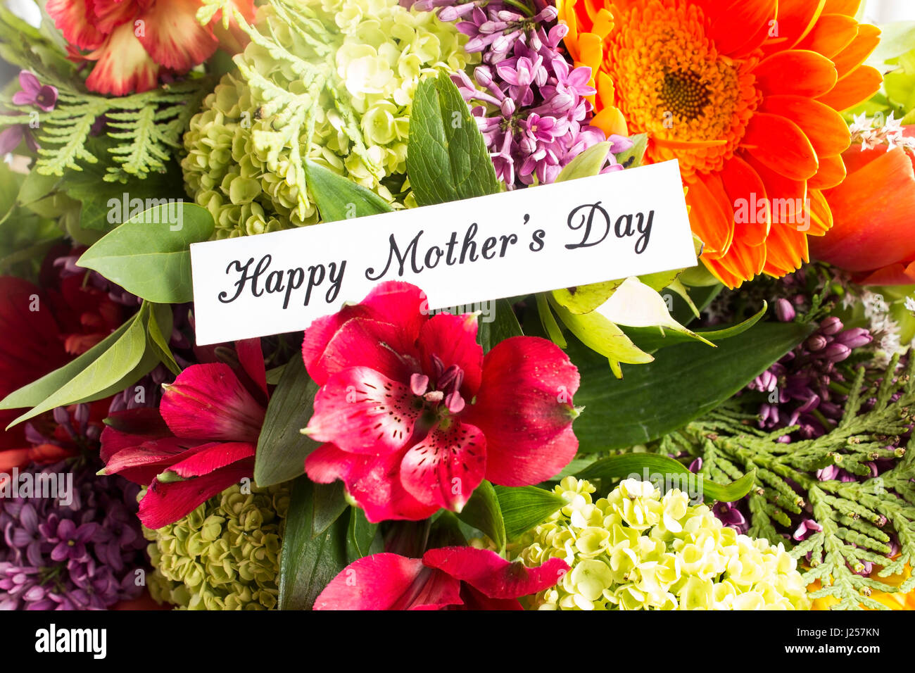Bonne Fête des mères, carte de souhaits, de bouquet de fleurs de printemps  Photo Stock - Alamy
