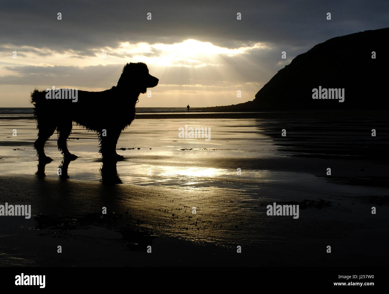 St Bees, Cumbria, Royaume-Uni Banque D'Images