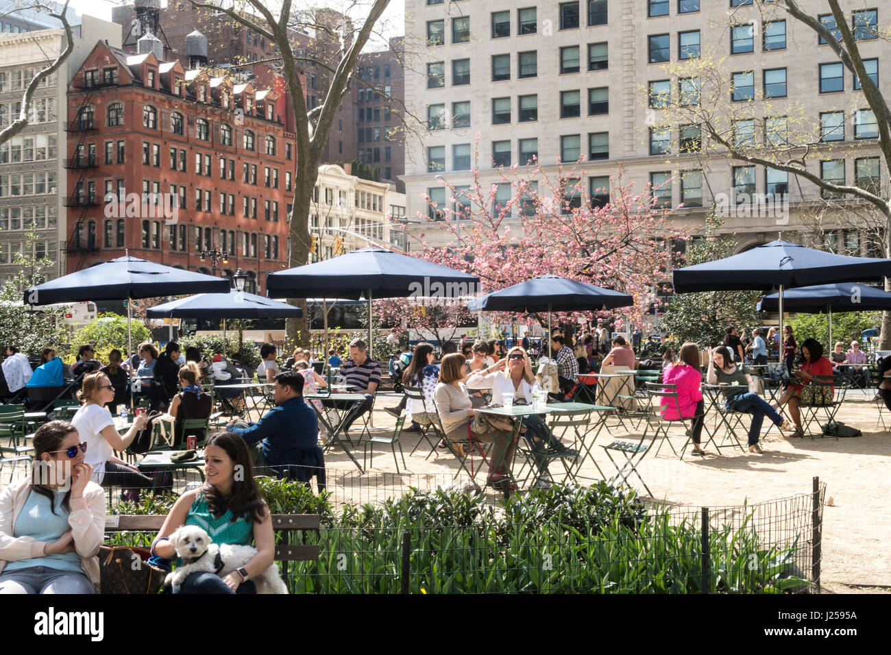 Madison Square Park au printemps, NYC, USA Banque D'Images