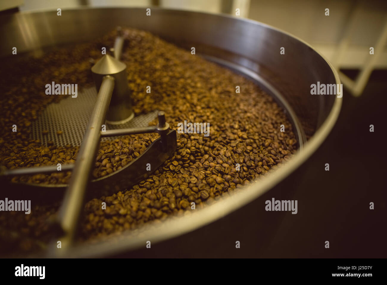 Verser les grains de café à l'intérieur de la torréfaction de café machine à café Banque D'Images