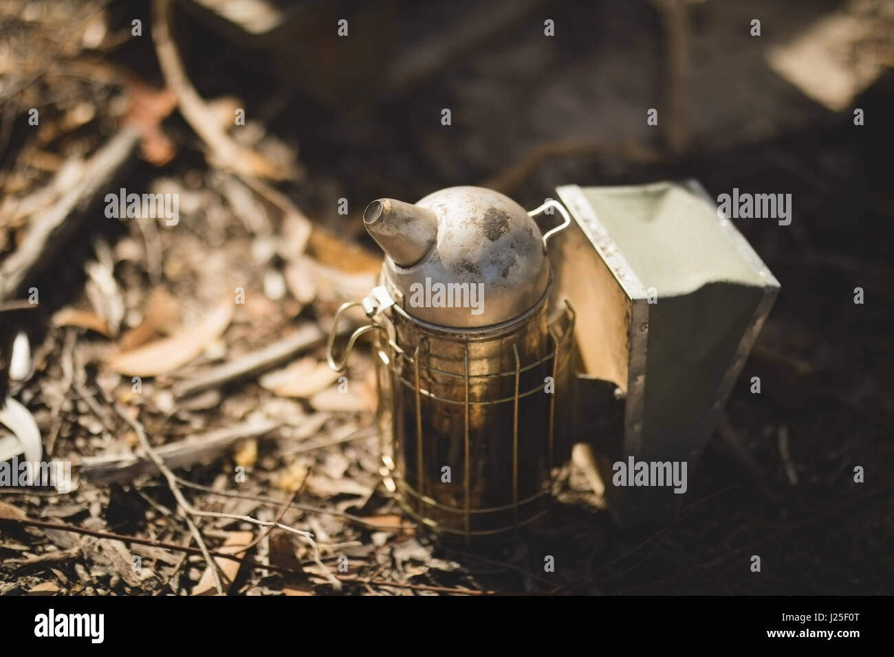 Close-up of bee fumeur sur la masse au rucher Banque D'Images
