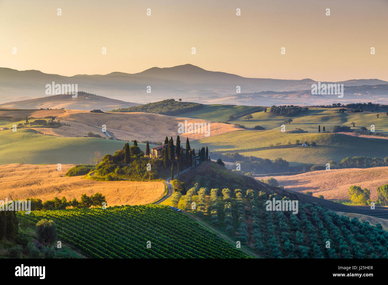 La vue classique du paysage pittoresque de la Toscane avec célèbre ferme au milieu de collines et de vallées idylliques dans la belle lumière du matin au lever du soleil d'or Banque D'Images