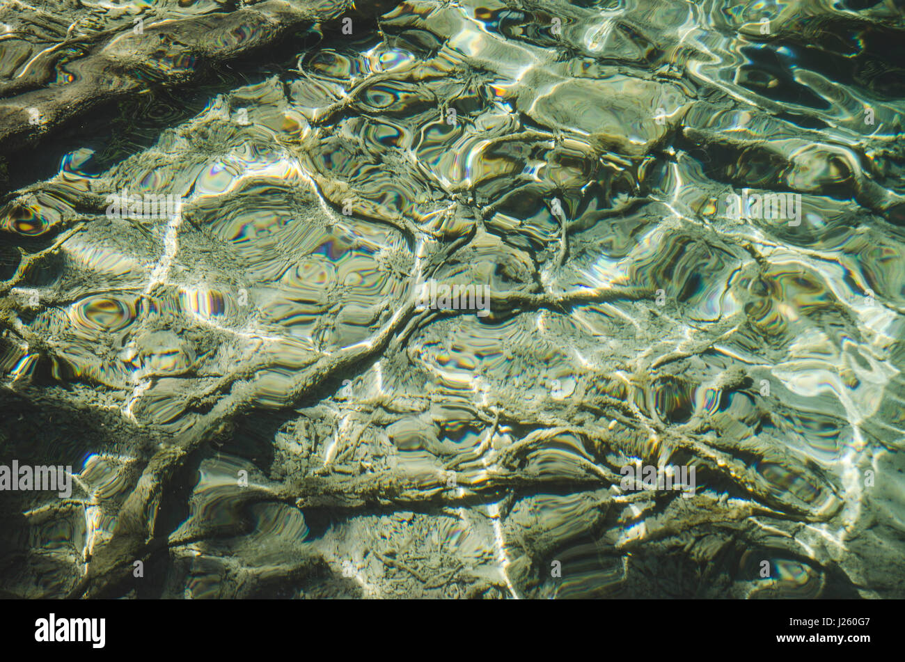 Résumé Détails de l'eau, le parc national des Lacs de Plitvice, Croatie Banque D'Images