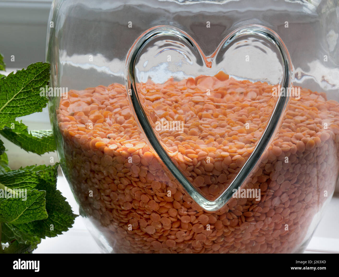 Les lentilles & jar rouge motif coeur en santé, de secours contenant des lentilles rouges, une bonne impulsion, de légumineuses comestibles avec feuille de menthe par ouvrir la fenêtre de cuisine Banque D'Images