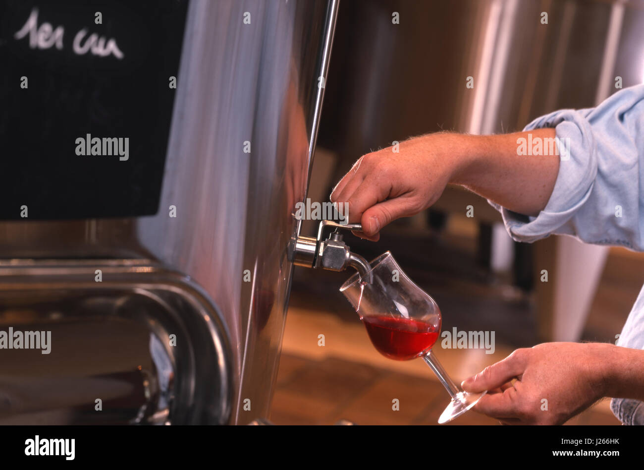 Pinot Noir Premier cru de vin tiré d'un réservoir de maturation dans la cave de vinification 'la Sabliére' de Louis Jadot, Beaune, Côte d'Or, France Banque D'Images