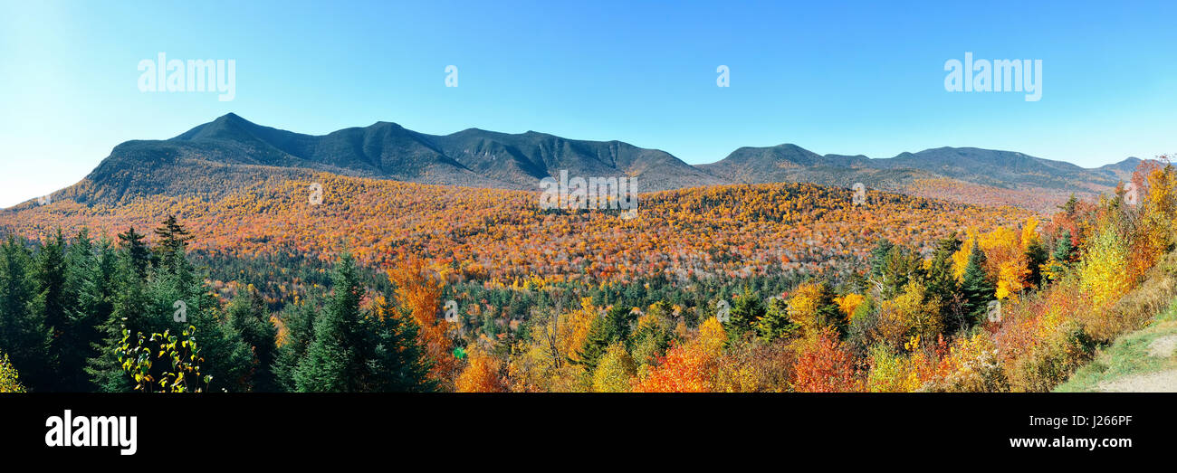 Feuillage d'automne dans la région de White Mountain, New Hampshire. Banque D'Images