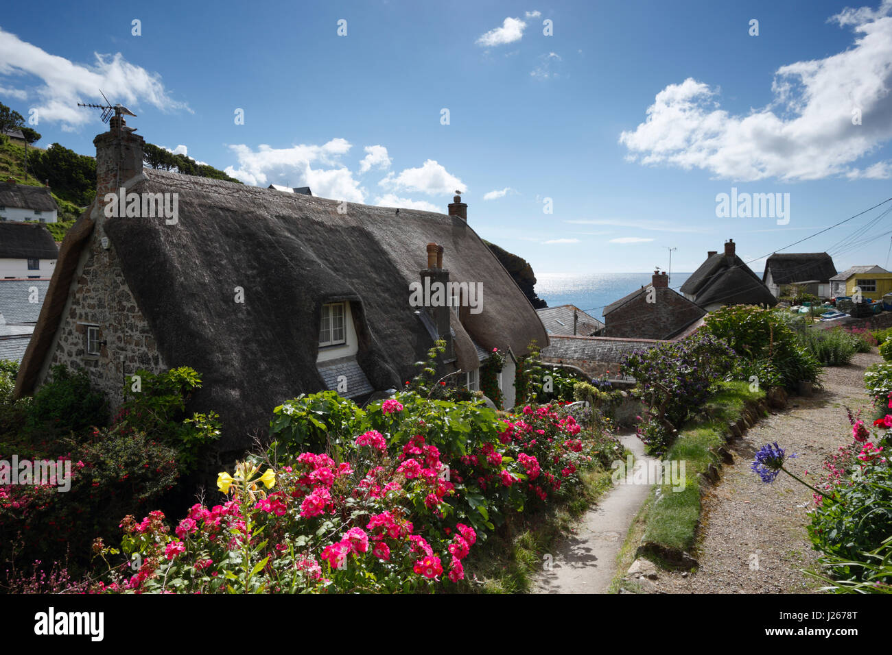 Cadgwith village sur la péninsule de Lizard. Cornwall. UK. Banque D'Images