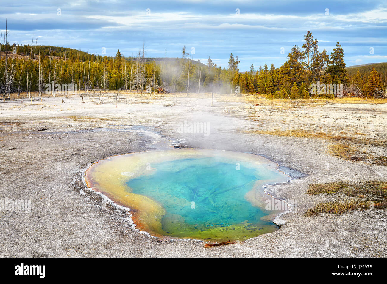 Le Parc National de Yellowstone, Wyoming, USA. Banque D'Images