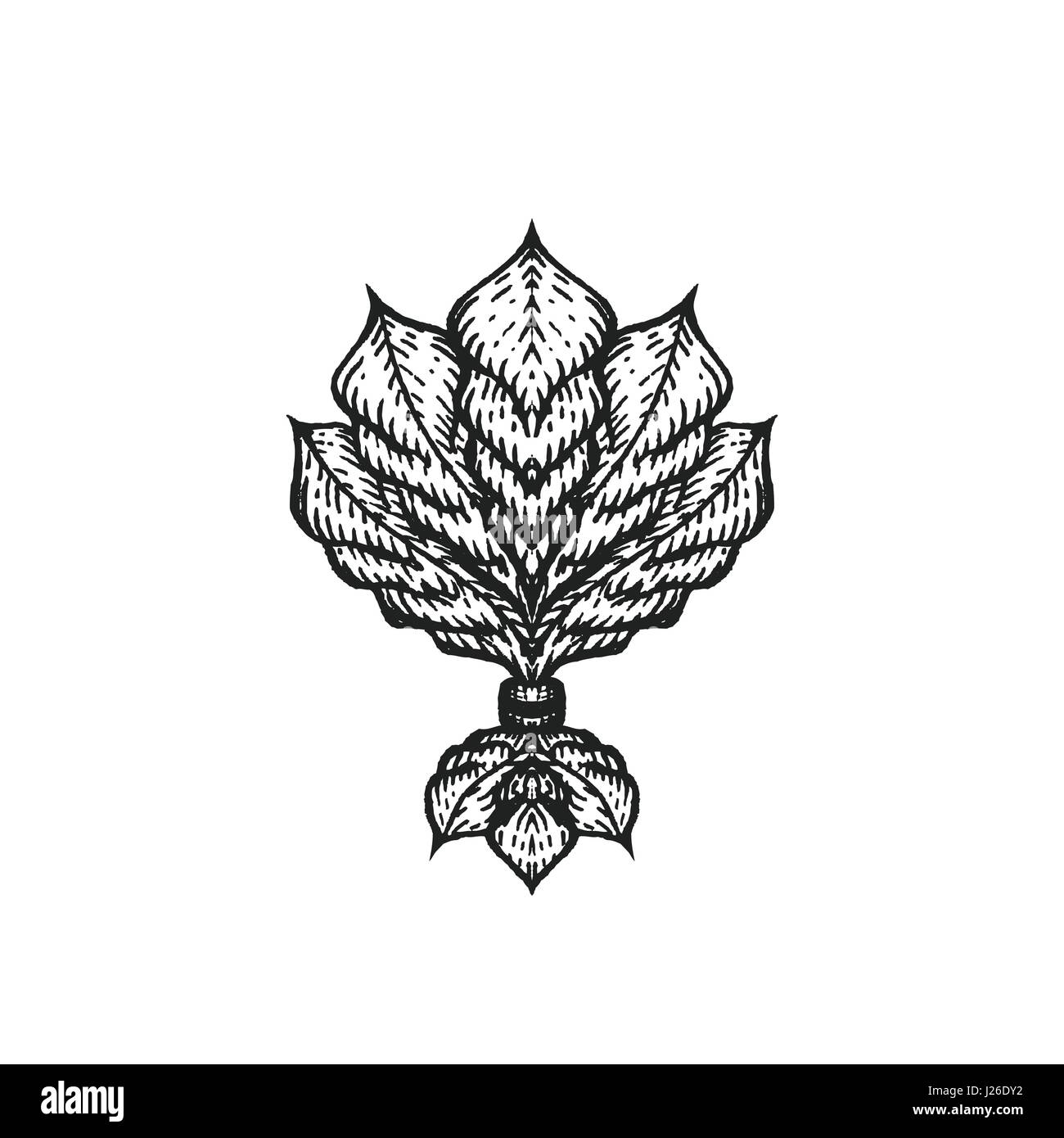 Tattoo hand drawn vector blackwork floral vintage gravure ornement baroque décoration illustration fond isolé Illustration de Vecteur