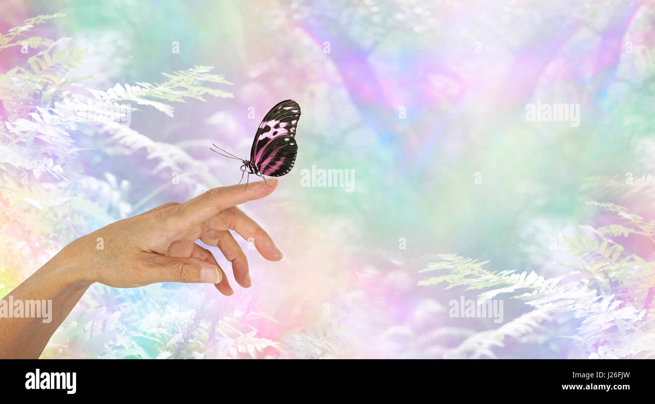 Moment de l'attention avec un papillon - aile de papillon fermé reposant sur le doigt d'une femme étendu la main avec un arc-en-ciel fond bois bokeh Banque D'Images