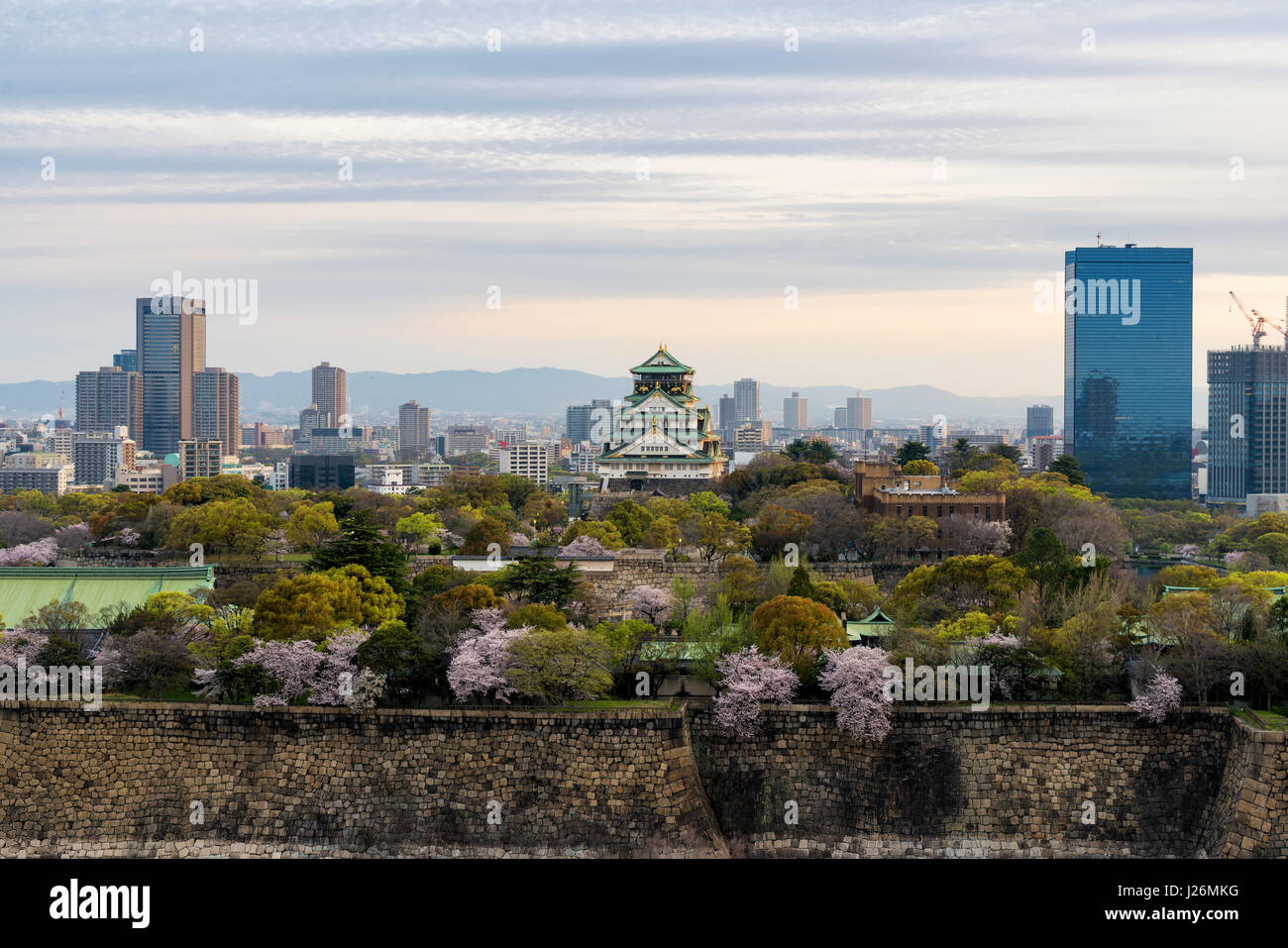 Le château d'Osaka avec fleur de cerisier et le centre d'Osaka en arrière-plan atOsaka dictrick d'affaires, au Japon. Le Japon printemps belle scène. Banque D'Images