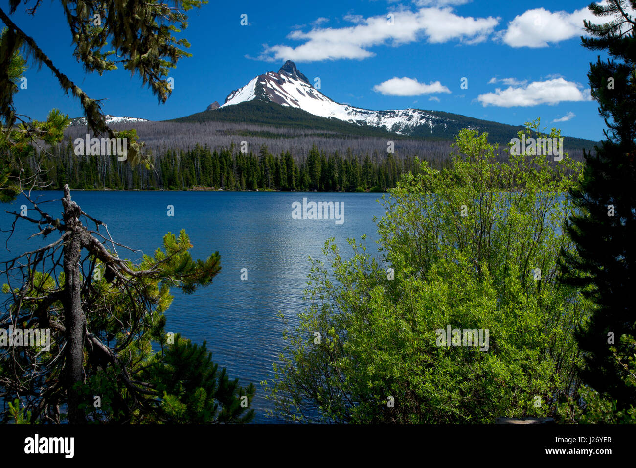 Grand Lac, forêt nationale de Willamette, Oregon Banque D'Images