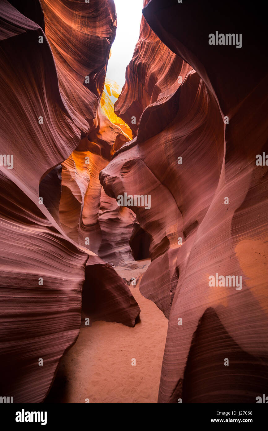 Belle vue grand angle vertical des formations de grès étonnantes dans célèbre Antelope Canyon sur une journée ensoleillée, Page, Arizona, Ouest américain, USA Banque D'Images