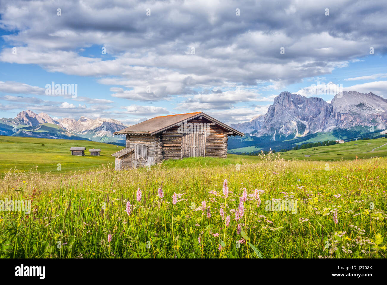 Alpin idyllique des paysages de montagne dans les Dolomites avec des vieux chalets de montagne et des prairies vertes sur une journée ensoleillée en été, à l'Alpe di Siusi Banque D'Images