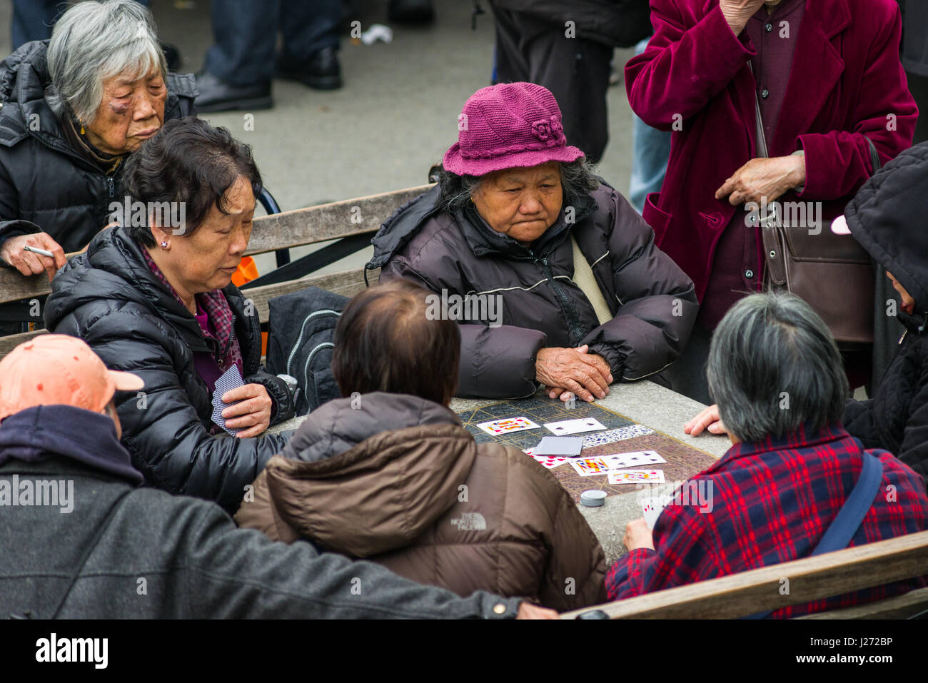 Dames âgées jouant des jeux de cartes sur une table en pierre en plein air, Columbus Park, New York Banque D'Images