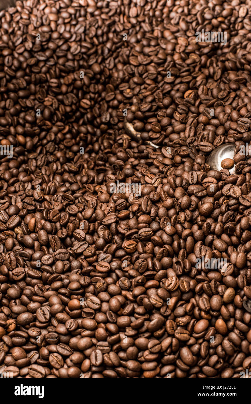 Les grains de café fraîchement torréfié Banque D'Images