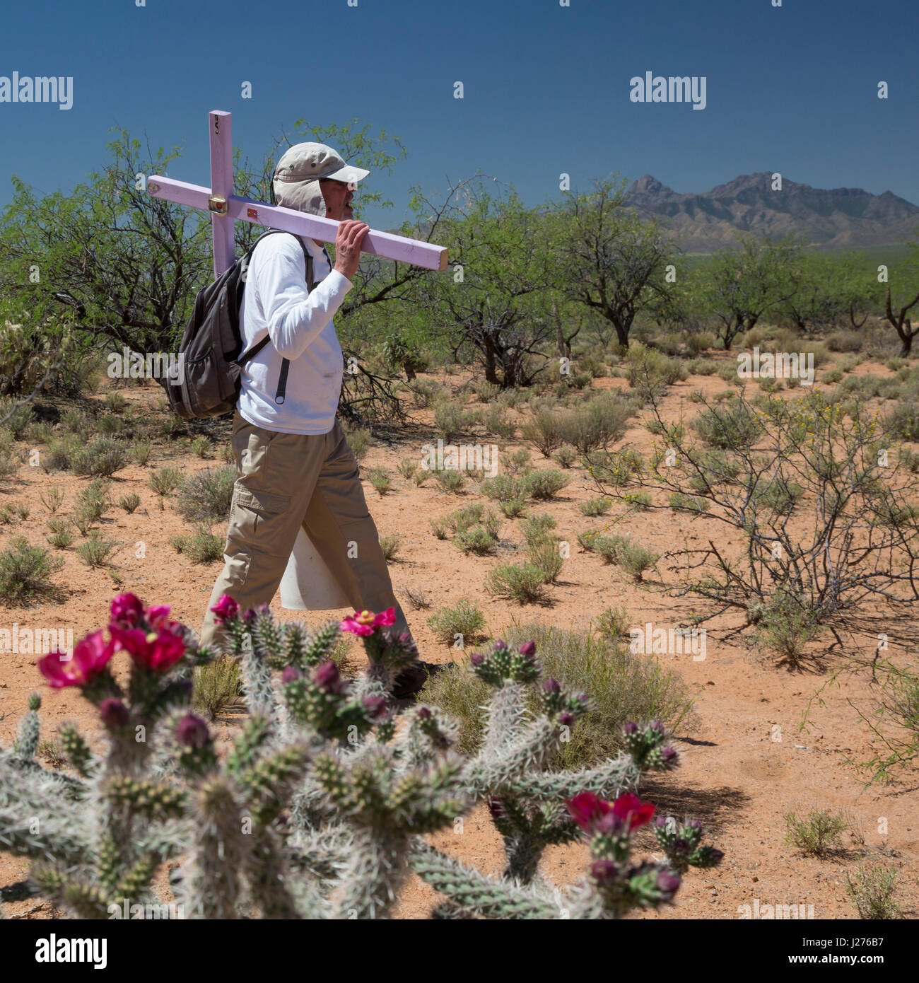 Tucson, Arizona - membres de la Tucson Samaritains place croix dans le désert des lieux où le reste des migrants n'a été trouvé. Des centaines de mig Banque D'Images