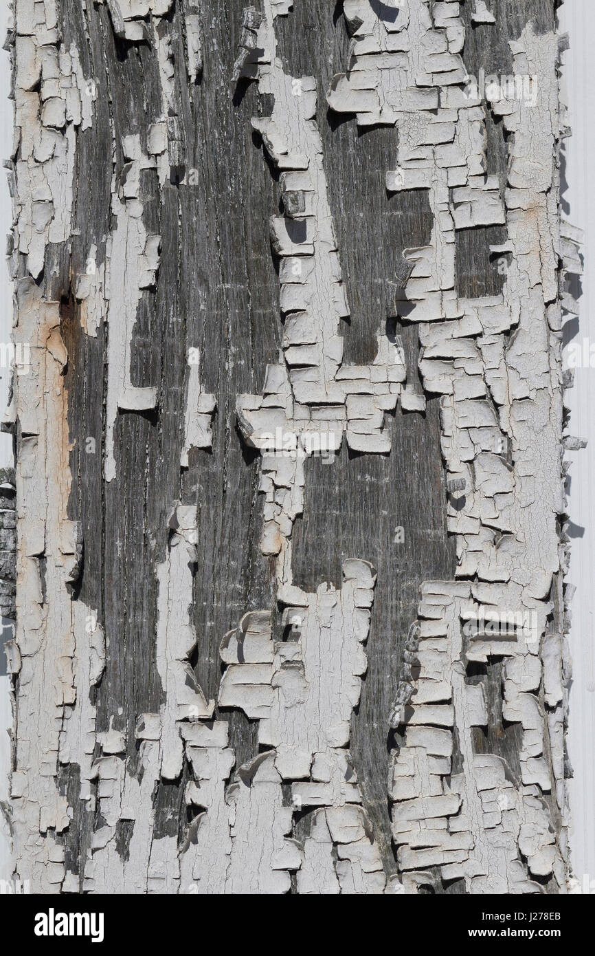 Éclats de peinture blanche à partir d'une vieille maison de style. Banque D'Images