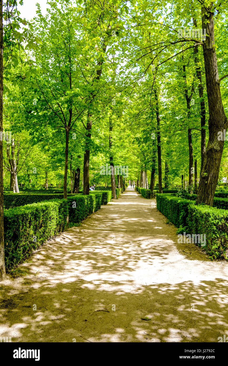 Jardins du Palais Royal d'Aranjuez, Madrid, Espagne Banque D'Images
