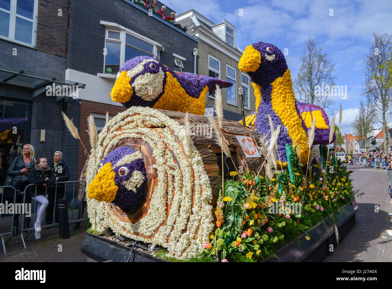 Défilé de fleurs hollandais Banque de photographies et d'images à haute  résolution - Alamy