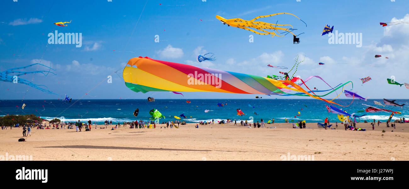 FUERTEVENTURA, ESPAGNE - 11 novembre : Les internautes regardent à partir de la terre comme de cerfs-volants colorés remplissent le ciel au 29e Festival International de Cerf-volant, 11 novembre 201 Banque D'Images