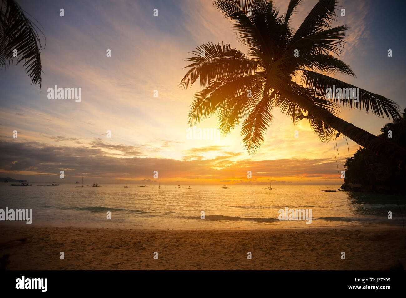 Feuilles de palmier sur sunset beach Banque D'Images