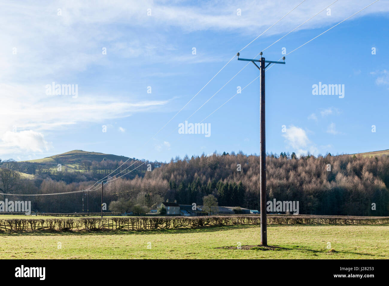 L'approvisionnement en électricité dans les campagnes. Un poteau en bois avec une ligne traversant les terres agricoles rurales près de Offerton, Derbyshire, Angleterre, RU Banque D'Images