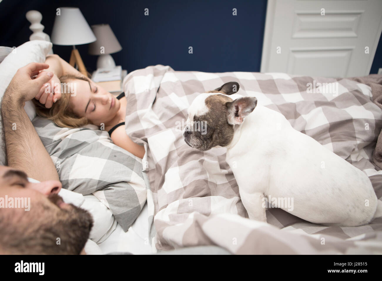 High angle view of couple relaxing on bed avec bouledogue français à la maison Banque D'Images