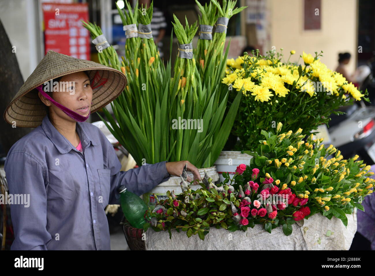Une vendeuse de fleurs dans les marchés colorés de la vieille ville de Hanoï, Vietnam. Banque D'Images