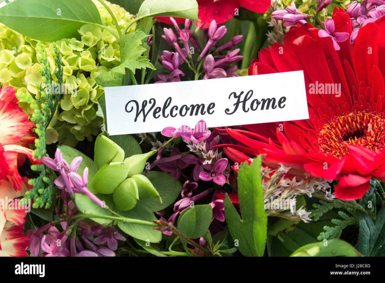 Bienvenue Accueil Carte Avec Bouquet De Fleurs De Printemps Photo Stock Alamy