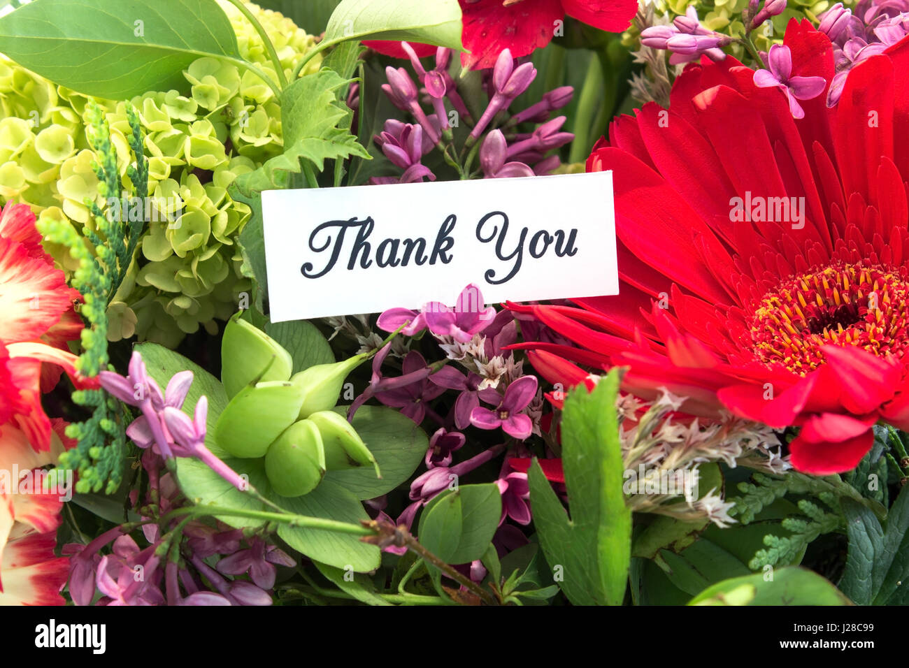 Carte de remerciement avec bouquet de fleurs de printemps. Banque D'Images