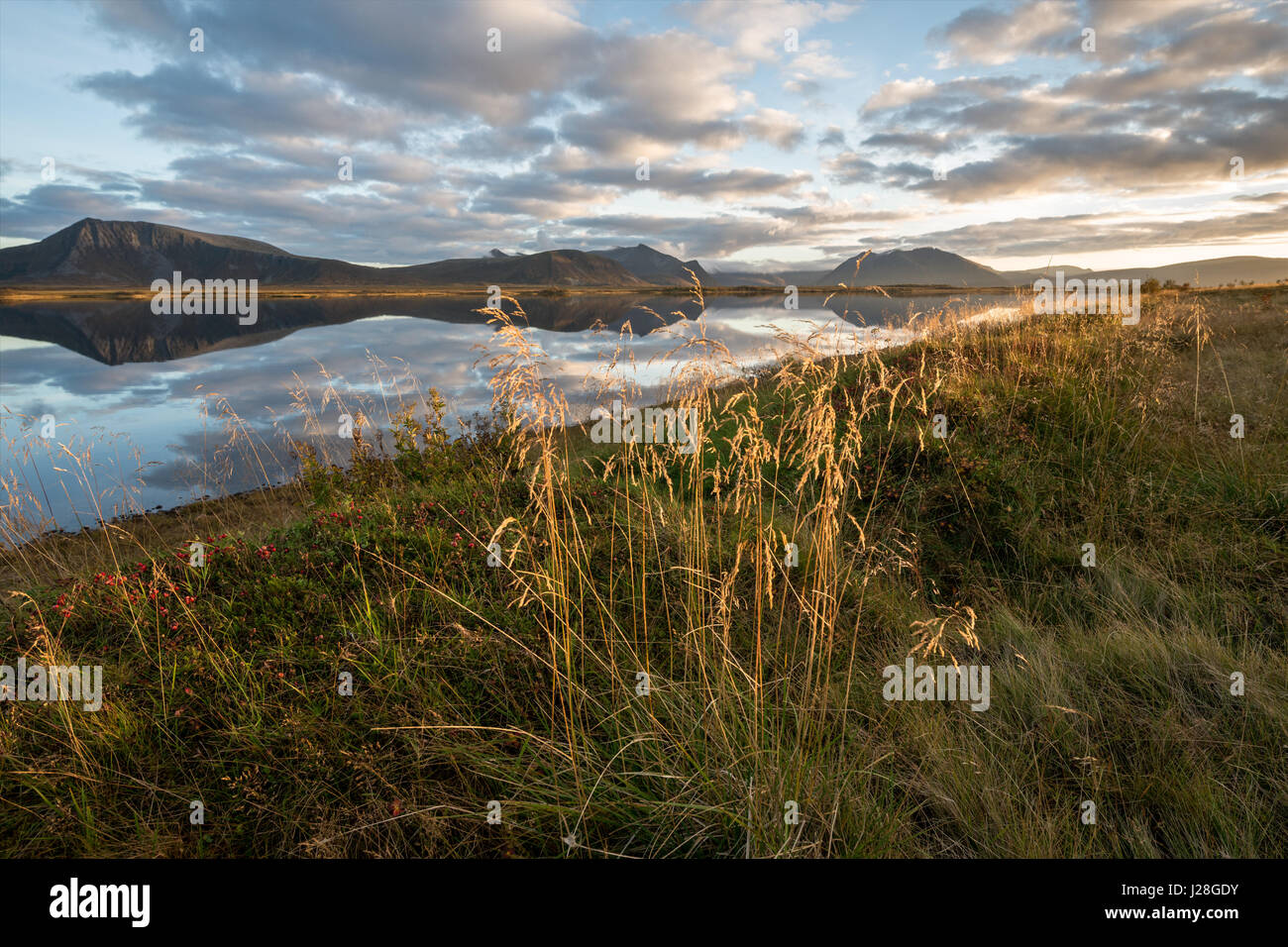 La Norvège, Nordland, Andøy, soirée à l'Skogvollvatnet, lac (Andøya Vesterålen sans petrole) Banque D'Images