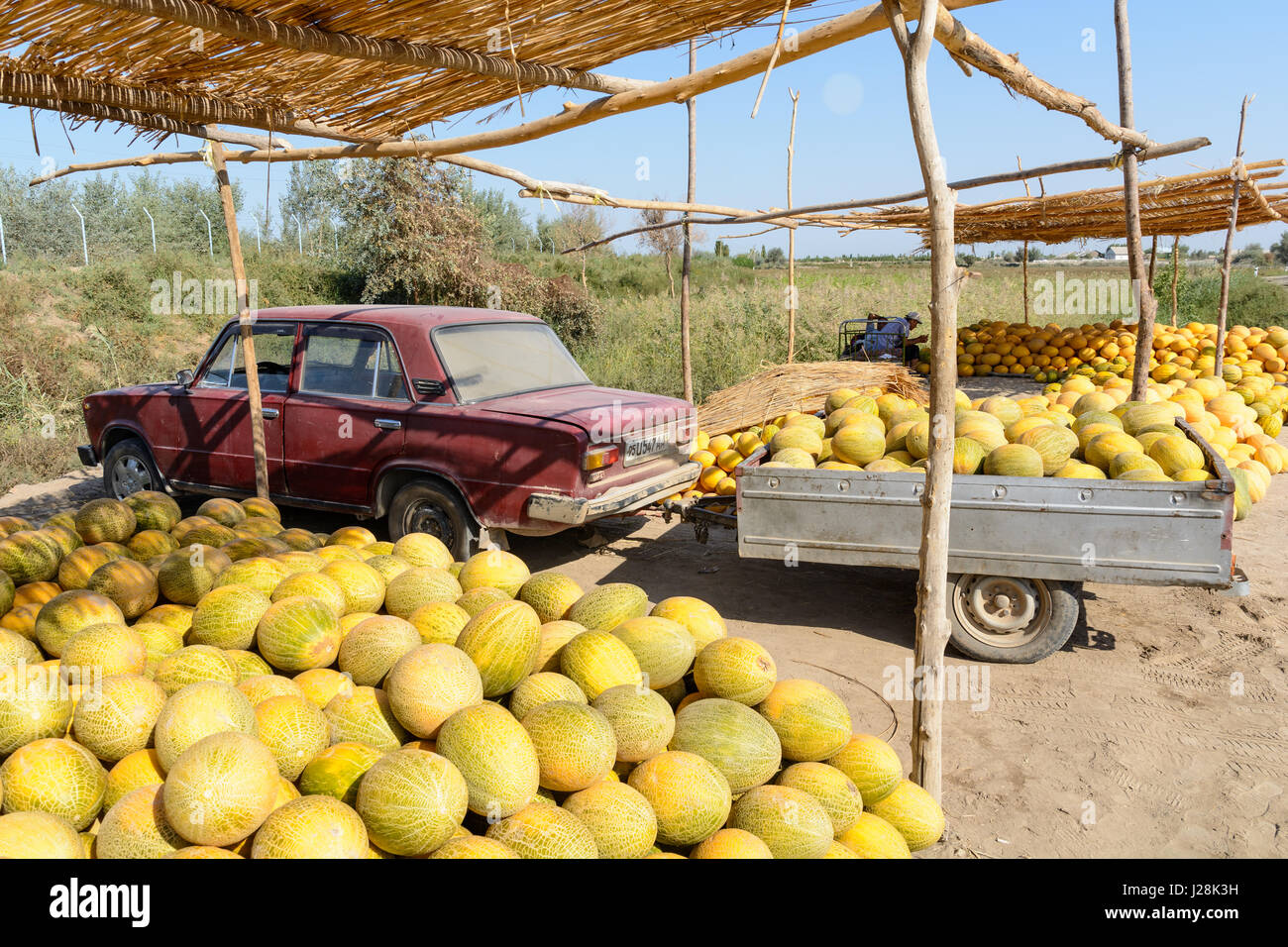 L'Ouzbékistan, Buxoro Province, Jondor tumani, sur le bord de la route il y a beaucoup de commerçants de melon. Ici la femme a le dire Banque D'Images