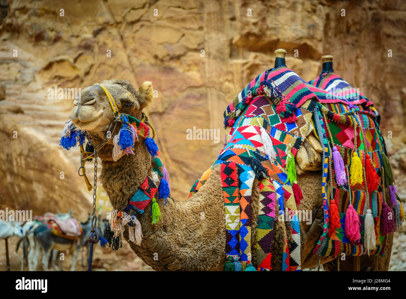 La Jordanie, Ma'an District Government, Petra, la légendaire cité de Pétra rock, principale attraction : "maison du trésor du pharaon", UNESCO World Heritage Banque D'Images