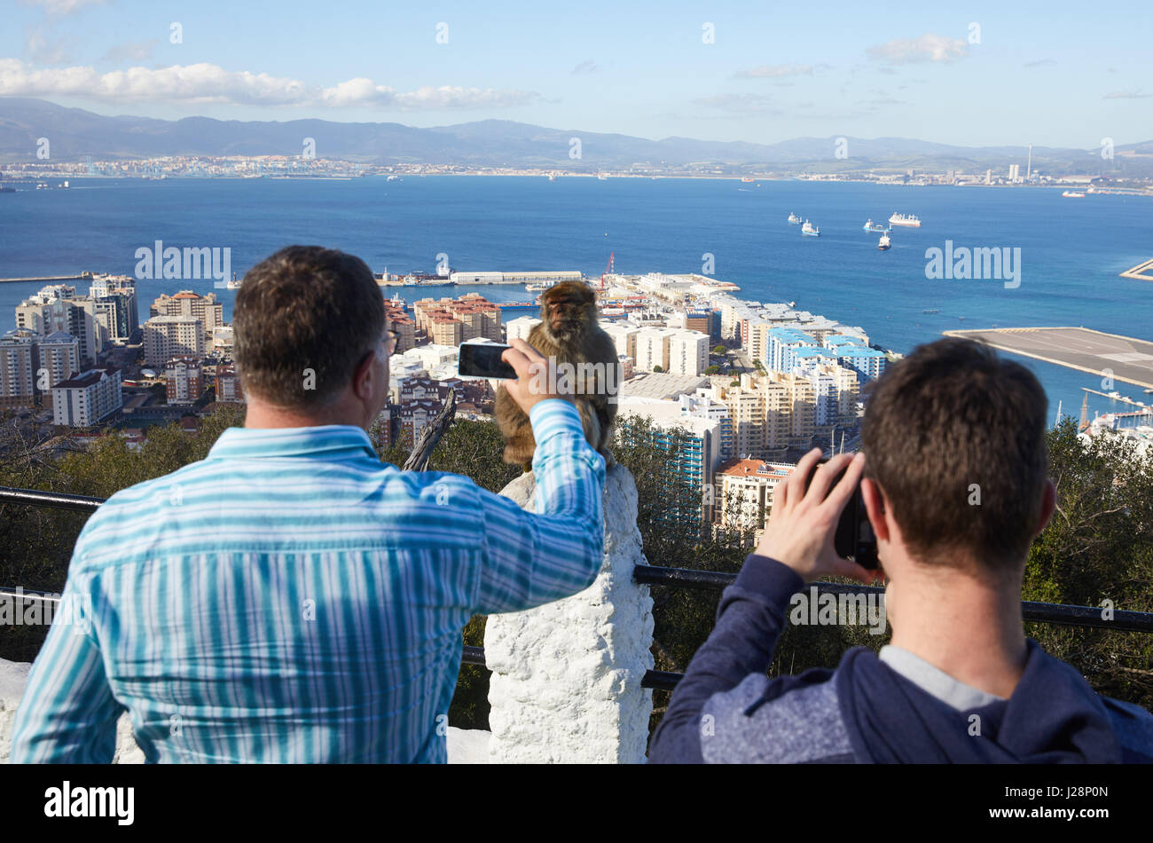 Gibraltar, monkey rock, touristes prend des photos d'un singe berbère, port et mer gorge de Gibraltar, Banque D'Images