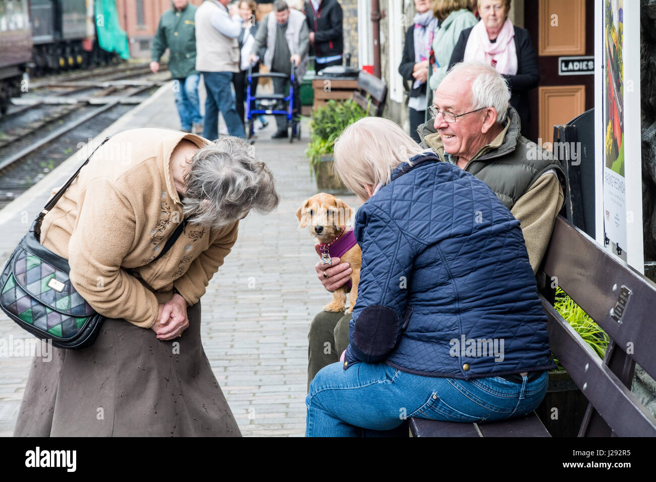 Couple de personnes âgées sur banc avec leurs Daschund Terrier puppy. Bridgnorth gare, quai 1 Banque D'Images