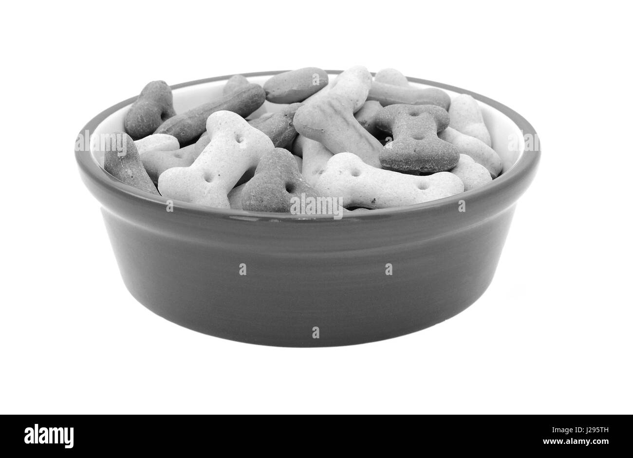 En forme d'os secs biscuits pour chiens dans un bol d'aliments pour animaux de compagnie, isolé sur fond blanc Banque D'Images
